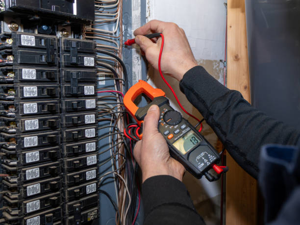 Best Electrician for Home Renovation  in Cannon Af, NM